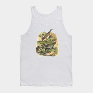 Birds on the landscape background Tank Top